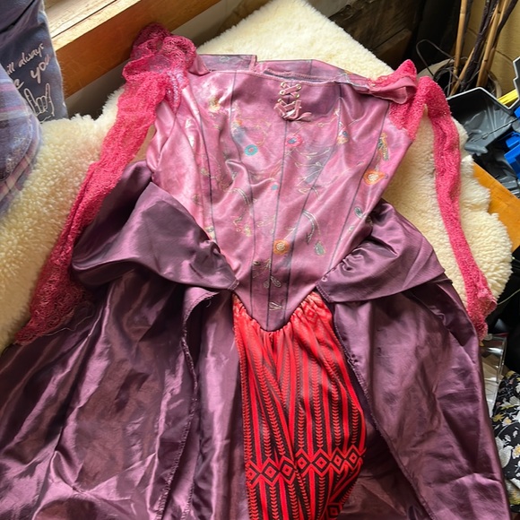 Disneys Hocus Pocus Dress size XL 14-16